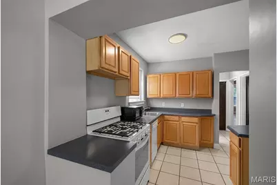 4533 Flad Avenue, Saint Louis, MO 63110 - Photo 27