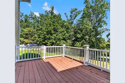 207 Spring Lake Drive, De Soto, MO 63020 - Photo 29