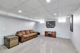 233 Spring Borough Dr, O'Fallon, MO 63368 - Photo 55