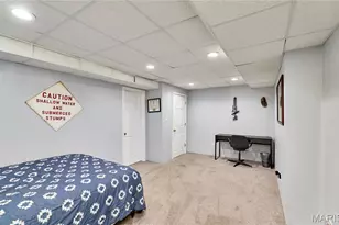 233 Spring Borough Dr, O'Fallon, MO 63368 - Photo 59