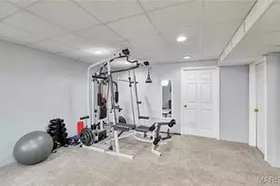 233 Spring Borough Dr, O'Fallon, MO 63368 - Photo 57