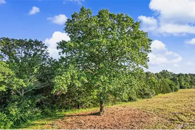 12621 Hyfield Road, De Soto, MO 63020 - Photo 11