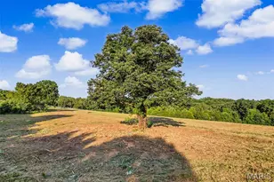 12621 Hyfield Rd, De Soto, MO 63020 - Photo 1