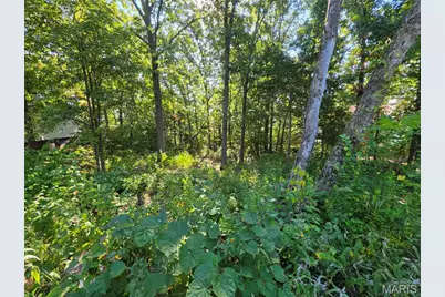 9744 Lee Drive, Hillsboro, MO 63050 - Photo 3