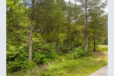 2763 Tyrol Point Drive, Innsbrook, MO 63390 - Photo 9