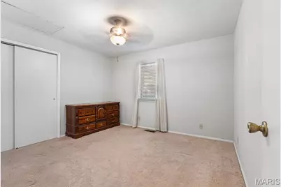 319 Jefferson Street, De Soto, MO 63020 - Photo 19