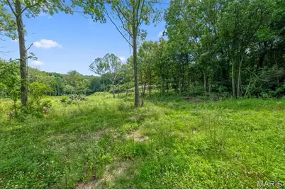 45 +/- Ac Twin River Road, Eureka, MO 63025 - Photo 5