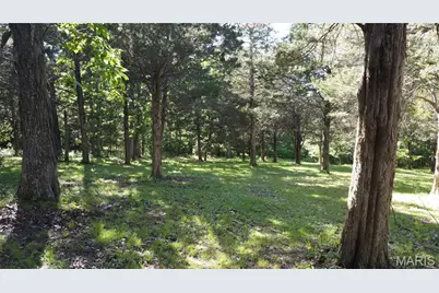 13505 State Rd E Road, De Soto, MO 63020 - Photo 41