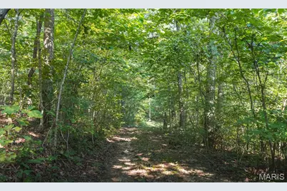 385 Highway V, Ellisville, MO 65456 - Photo 41