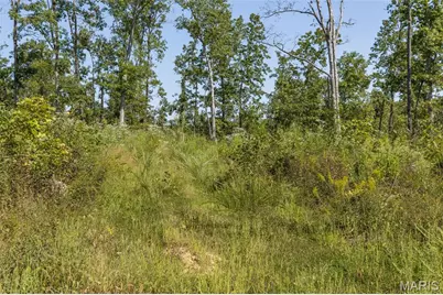 3001 Crow Lane, Unincorporated, MO 63628 - Photo 9
