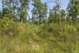 3001 Crow Ln, Unincorporated, MO 63628 - Photo 9