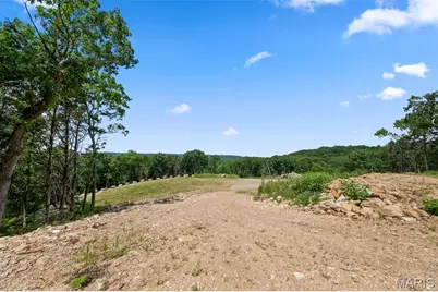 45 +/- Ac Twin River Road, Eureka, MO 63025 - Photo 9