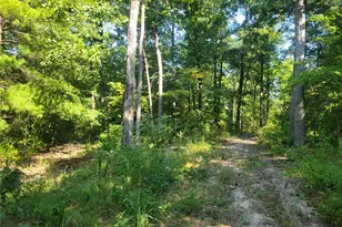 237 Jerry Miller Ln, Silex, MO 63377 - Photo 41