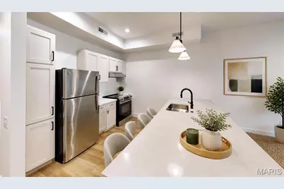 4320 Vista Avenue #1B, Saint Louis, MO 63110 - Photo 7