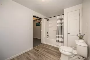 230 New York St, Kirkwood, MO 63122 - Photo 37