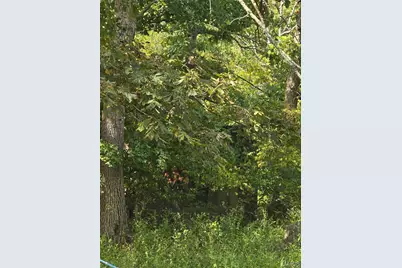 8607 John McKeever Road, Pacific, MO 63069 - Photo 23