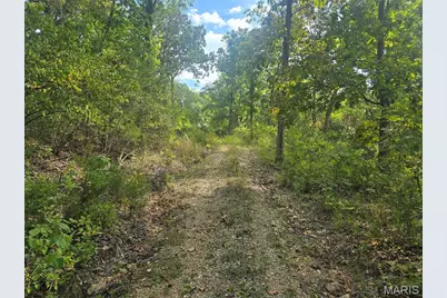 8607 John McKeever Road, Pacific, MO 63069 - Photo 1