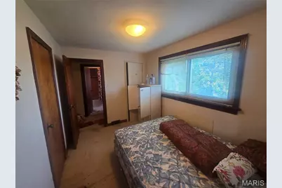 3907 McDonald Avenue, Saint Louis, MO 63116 - Photo 17