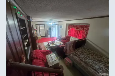 3907 McDonald Avenue, Saint Louis, MO 63116 - Photo 5
