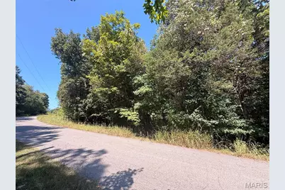 0 Terre Bleue and Hedgeapple Drive, Bonne Terre, MO 63628 - Photo 3