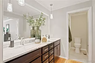 12047 Tangletree Dr, Maryland Heights, MO 63146 - Photo 29