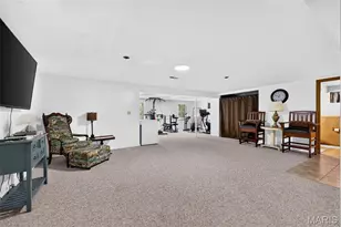 14 Cedarview Ct, Saint Charles, MO 63303 - Photo 27