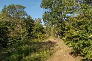 7192 Jones Rd, Bloomsdale, MO 63627 - Photo 19