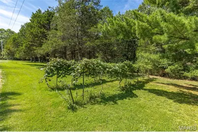 250 Meadow Woods Road, Hillsboro, MO 63050 - Photo 11