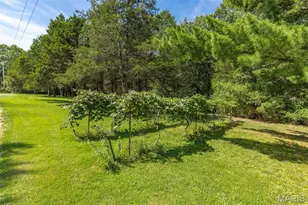 250 Meadow Woods Rd, Hillsboro, MO 63050 - Photo 11