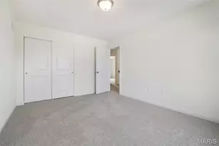 113 Cardinal Flower Dr, Wentzville, MO 63385 - Photo 37