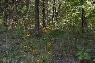 11936 W State Hwy 8, Potosi, MO 63664 - Photo 53