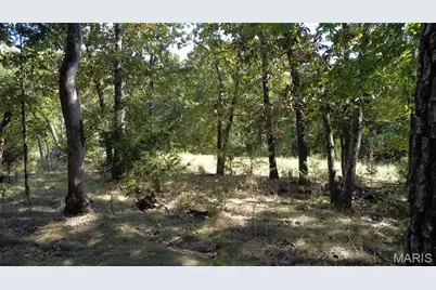 11936 W State Highway 8, Potosi, MO 63664 - Photo 49