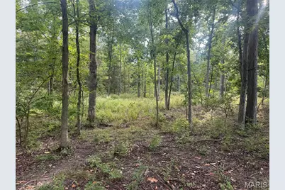 32 Acres Pinckney Street, Warrenton, MO 63383 - Photo 7