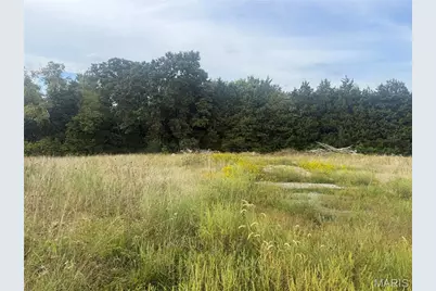 32 Acres Pinckney Street, Warrenton, MO 63383 - Photo 3