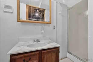 1334 San Jacinto Ct, Saint Louis, MO 63139 - Photo 21
