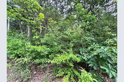Lot 34 Lakeshore Drive, Robertsville, MO 65066 - Photo 1