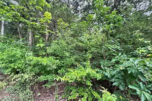Lot 34 Lakeshore Dr, Robertsville, MO 65066 - Photo 1