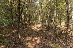 6944 Hillsboro Rd, Bonne Terre, MO 63628 - Photo 39