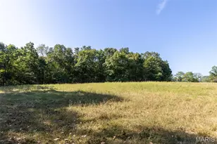 6944 Hillsboro Rd, Bonne Terre, MO 63628 - Photo 45