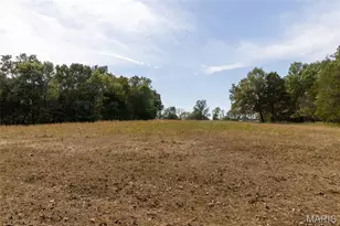 6944 Hillsboro Rd, Bonne Terre, MO 63628 - Photo 87