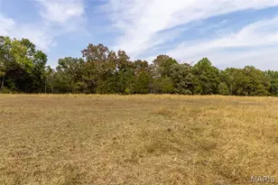 6944 Hillsboro Rd, Bonne Terre, MO 63628 - Photo 89