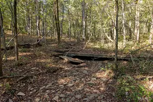 6944 Hillsboro Rd, Bonne Terre, MO 63628 - Photo 43