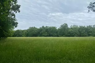 6944 Hillsboro Rd, Bonne Terre, MO 63628 - Photo 19