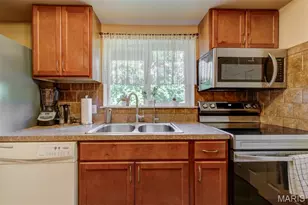 307 Twistedoak Ct, Ballwin, MO 63021 - Photo 41