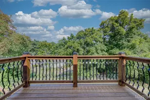 307 Twistedoak Ct, Ballwin, MO 63021 - Photo 49