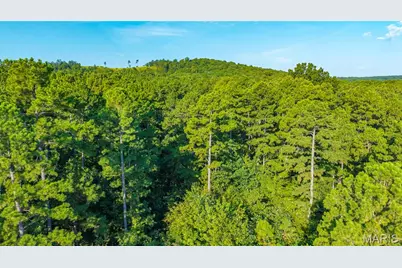000 County Road 55, Bellerive, MO 63623 - Photo 19