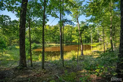 000 County Road 55, Bellerive, MO 63623 - Photo 45