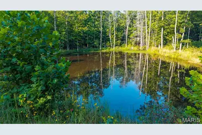 000 County Road 55, Bellerive, MO 63623 - Photo 21