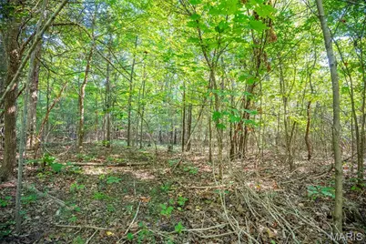 000 County Road 55, Bellerive, MO 63623 - Photo 65