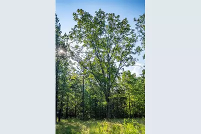 000 County Road 55, Bellerive, MO 63623 - Photo 29